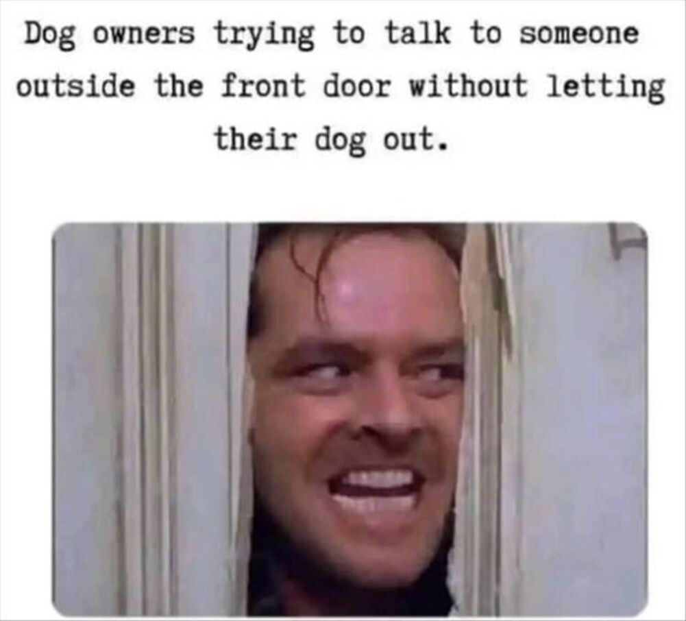 dog owners