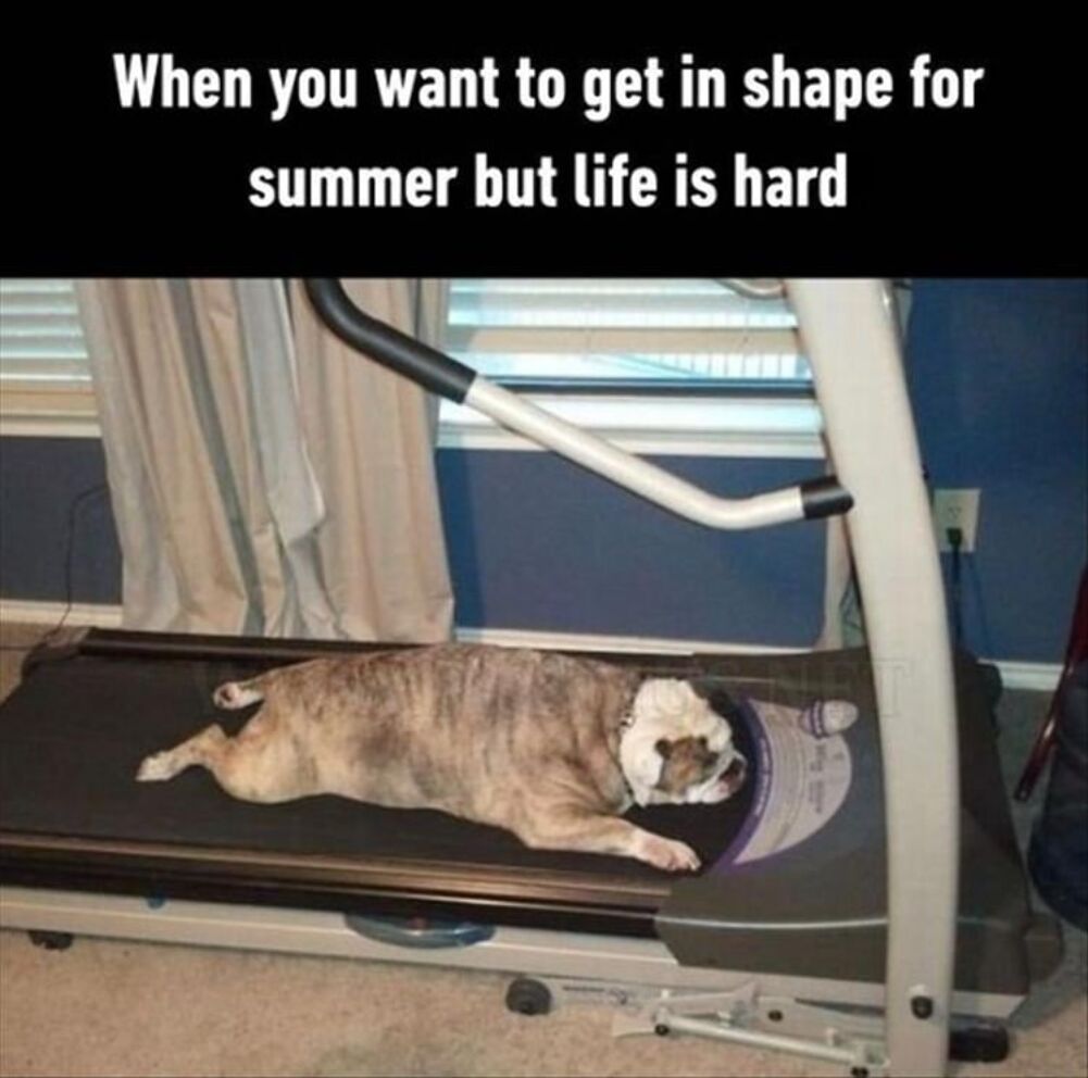 getting in shape