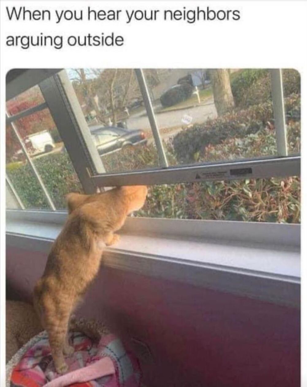 hearing them outside