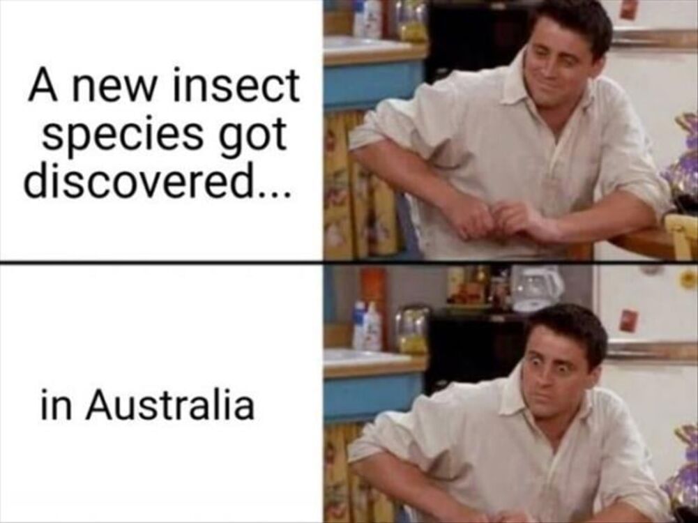 a new species