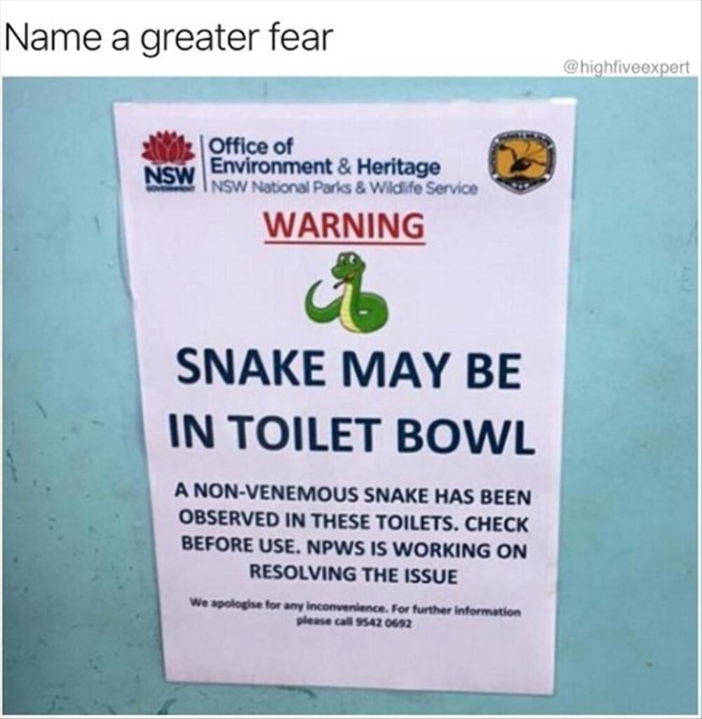 snake may bite