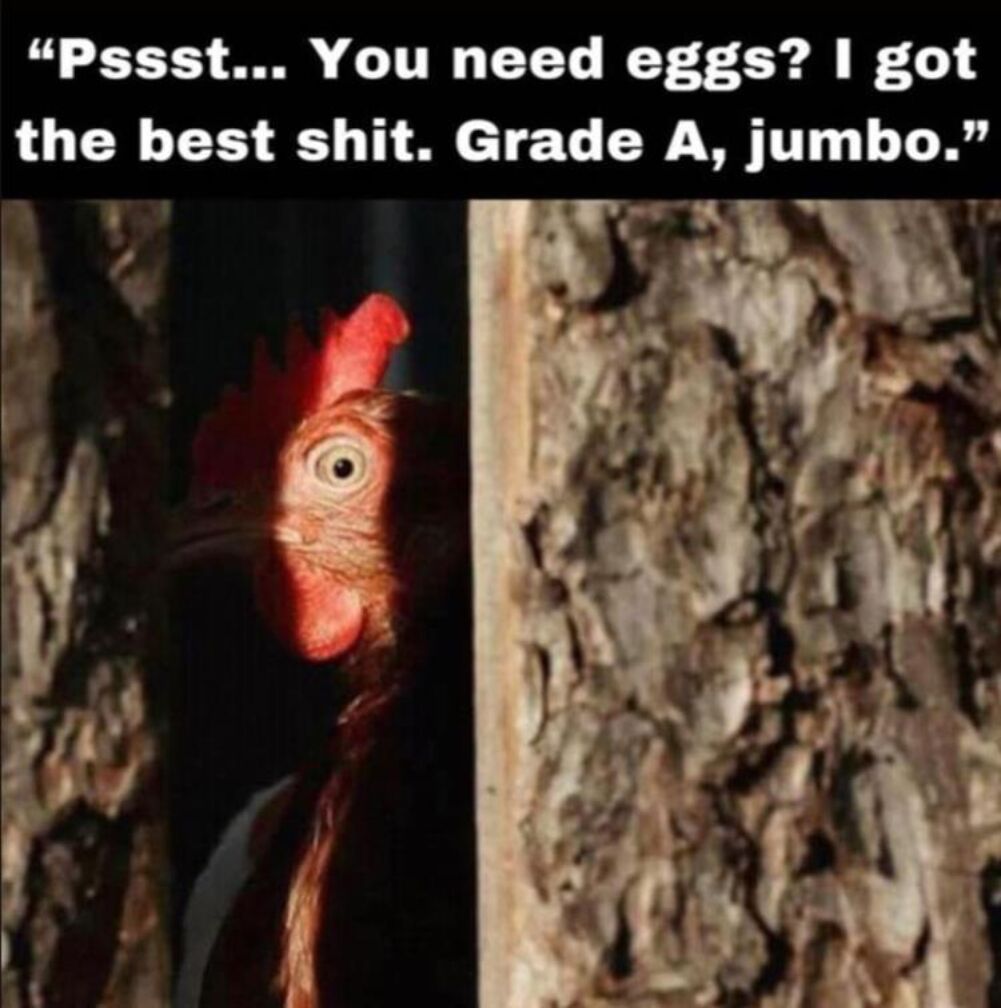 you need eggs