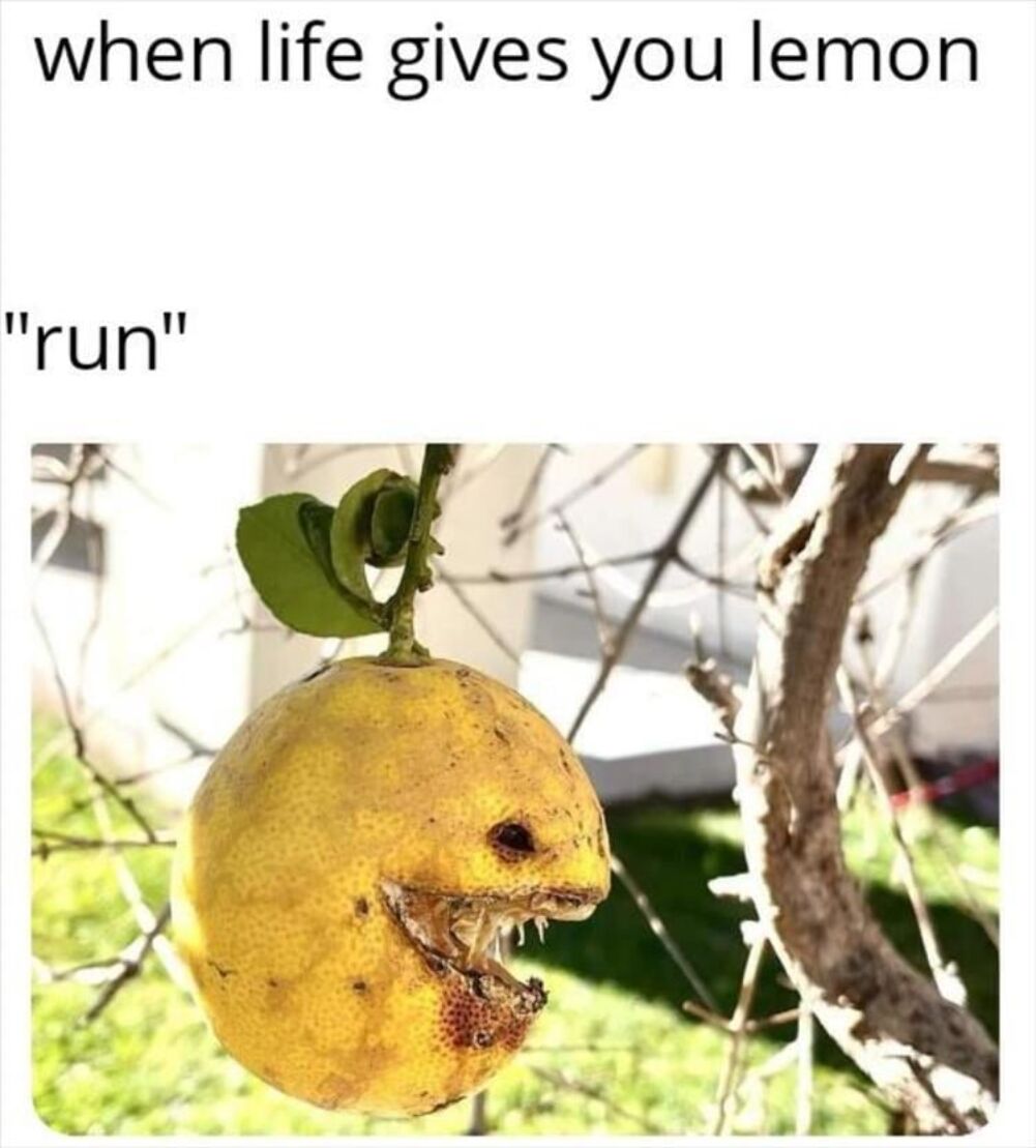 life gives you lemons