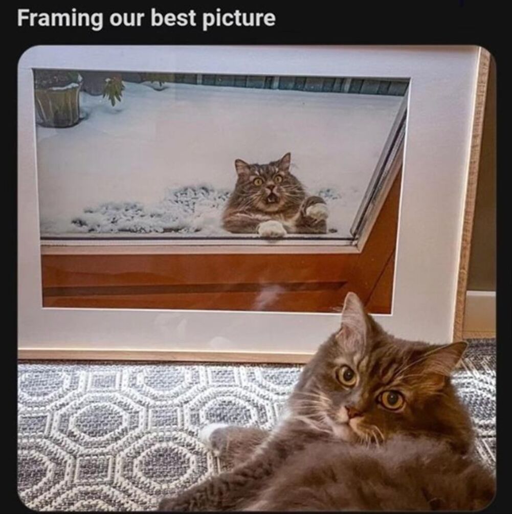 framing the picture