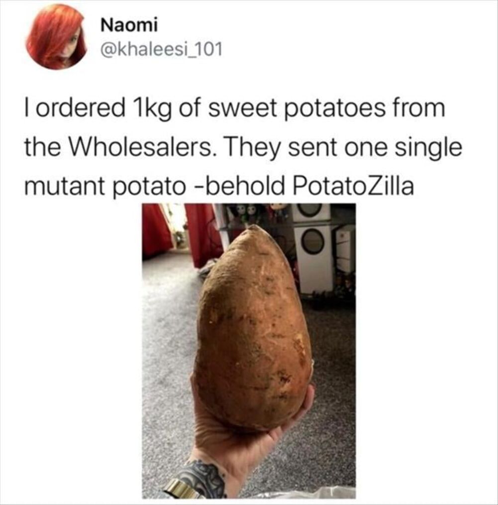 one single potato