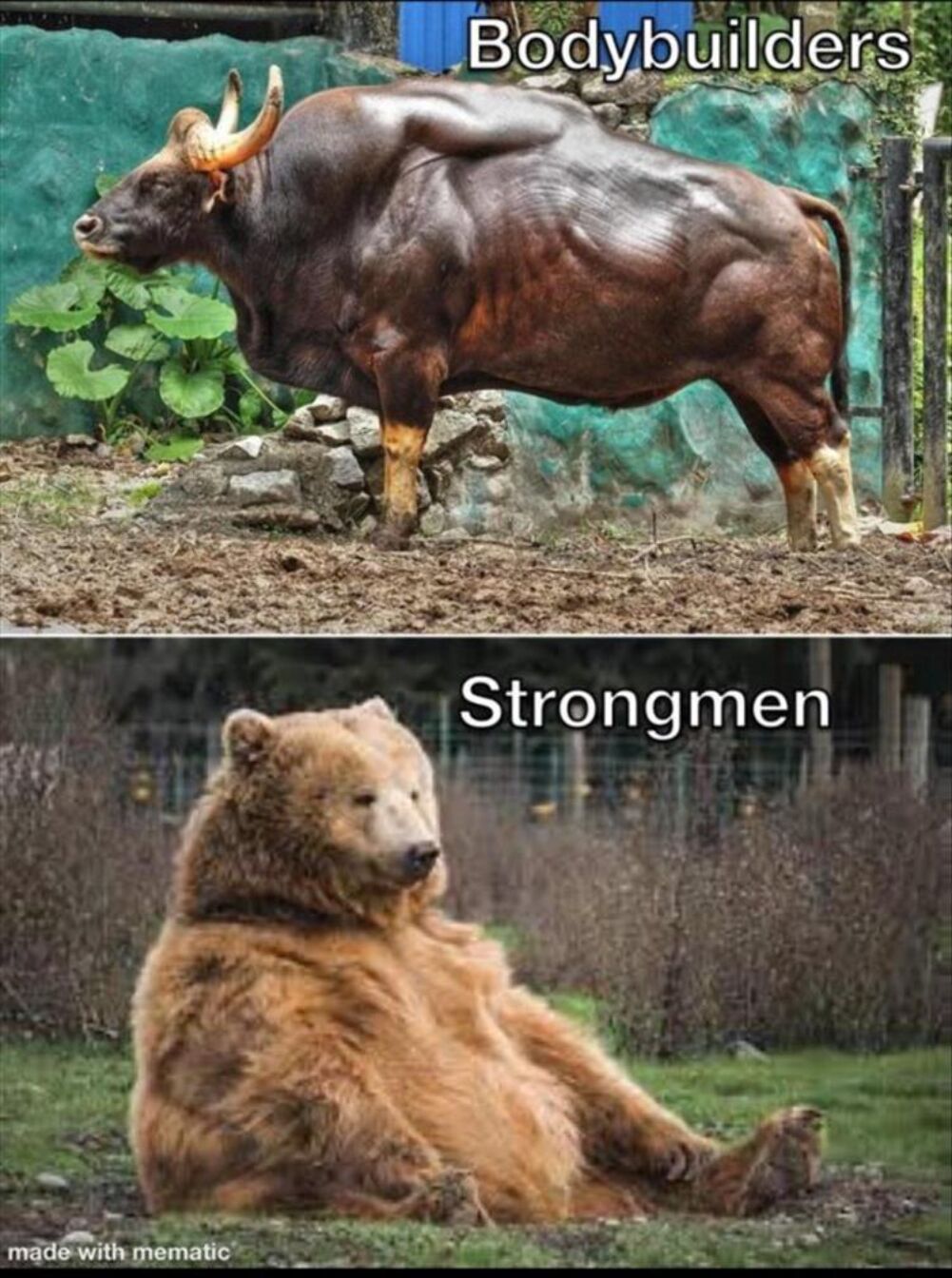 strongmen